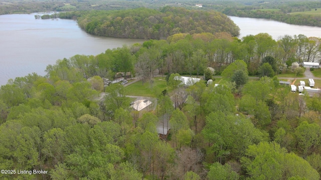 580 Walleye Way, Scottsville, KY 42164 - photo 38