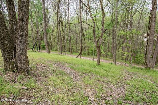 580 Walleye Way, Scottsville, KY 42164 - photo 45
