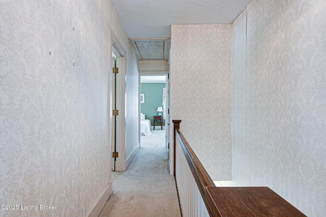 916 Audubon Pkwy, Audubon Park, KY 40213 - hall featuring an upstairs landing, attic access, light colored carpet, and a textured ceiling