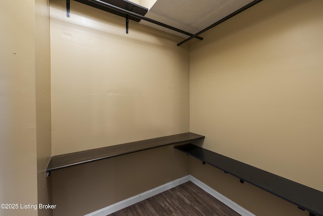 6821 James Madison Way, Louisville, KY 40272 - spacious closet with dark wood-style floors
