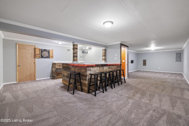6821 James Madison Way, Louisville, KY 40272 - indoor dry bar with ornamental molding, carpet flooring, electric panel, and baseboards