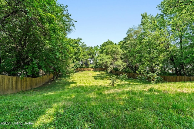 3106 Ramser Ave, Louisville, KY 40216 - view of yard