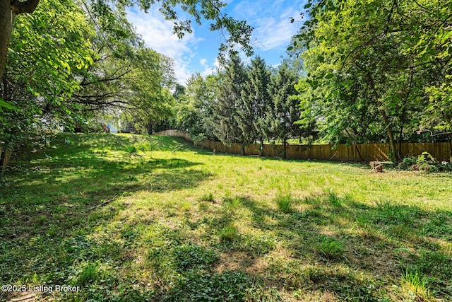 3106 Ramser Ave, Louisville, KY 40216 - view of yard
