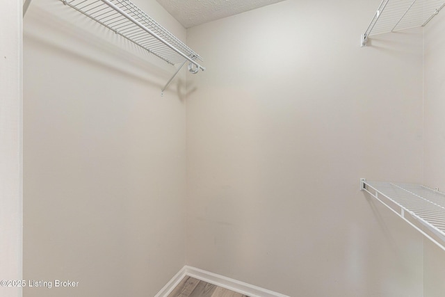 10304 Southern Meadows Dr Unit 101, Louisville, KY 40241 - spacious closet with light wood-type flooring