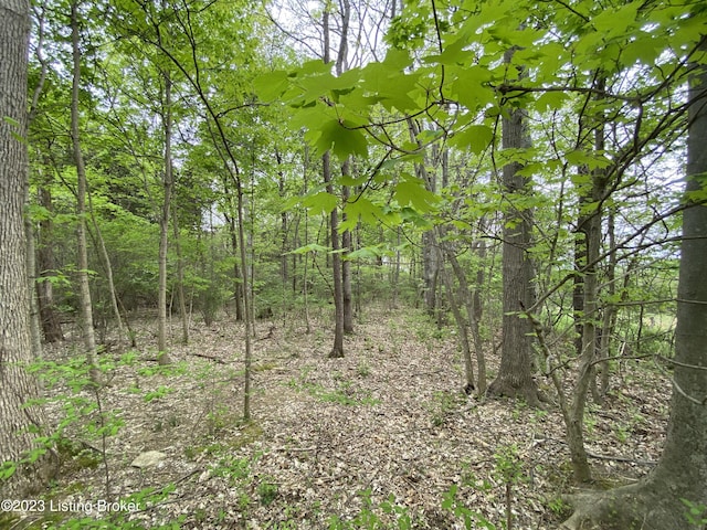 17810 Deertrace Ln, Fisherville, KY 40023