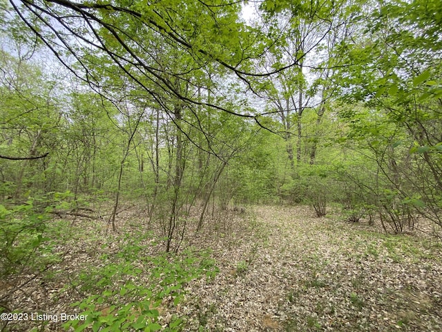 17810 Deertrace Ln, Fisherville, KY 40023