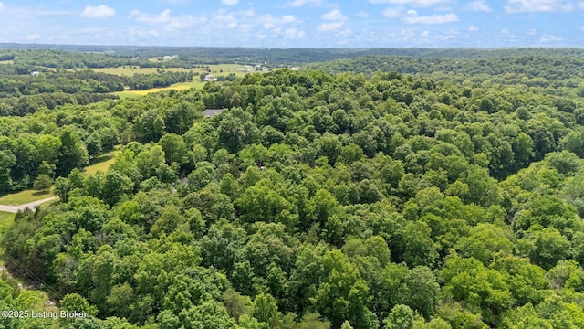 987 Wheelers Mill Rd, Munfordville, KY 42765 - bird's eye view of a heavily wooded area