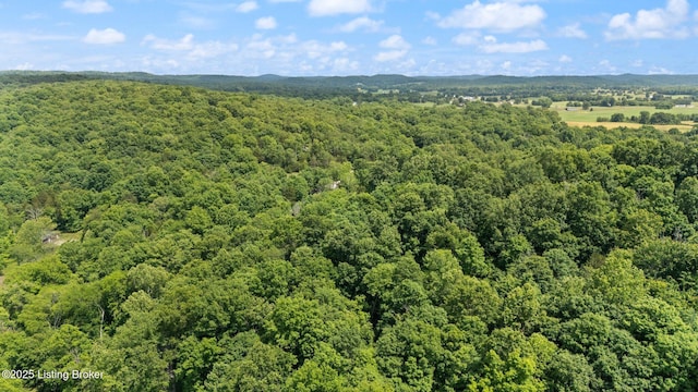 987 Wheelers Mill Rd, Munfordville, KY 42765 - drone / aerial view of a forest