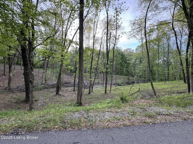 LOT23A Walleye Way, Scottsville, KY 42164