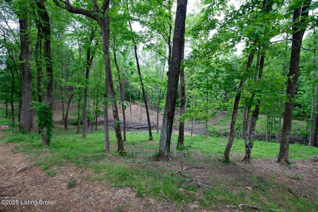 LOT23A Walleye Way, Scottsville, KY 42164