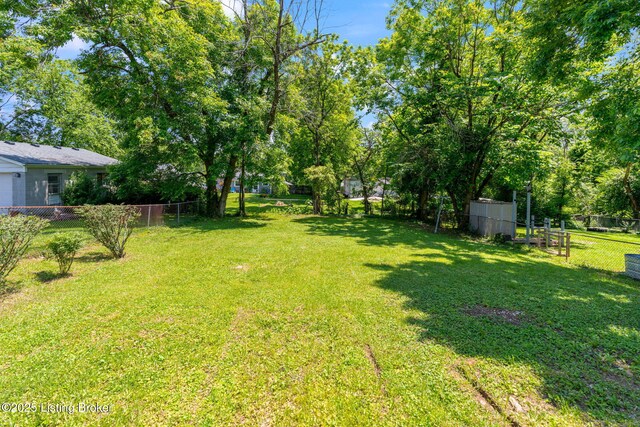 10518 Fairview Ave, Louisville, KY 40299 - view of yard