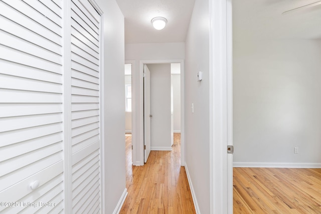 10518 Fairview Ave, Louisville, KY 40299 - corridor featuring light wood-style floors and baseboards