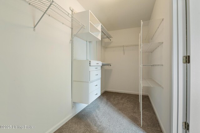 3613 Wynbrooke Cir, Louisville, KY 40241 - spacious closet featuring carpet flooring