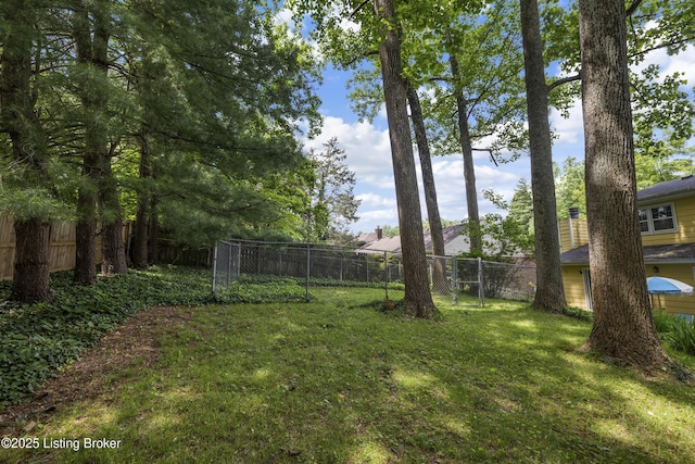 4205 Machupe Dr, Louisville, KY 40241 - view of yard