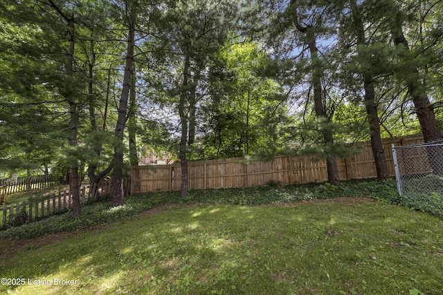 4205 Machupe Dr, Louisville, KY 40241 - view of yard