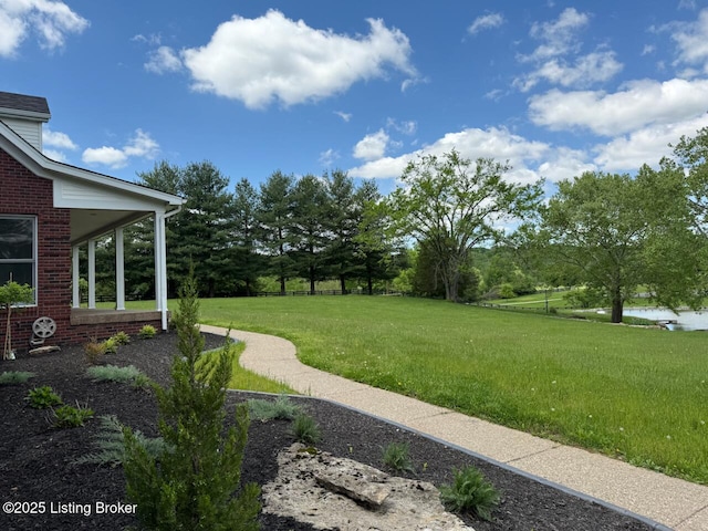 5101 Elm Tree Pl, Louisville, KY 40299 - view of green lawn