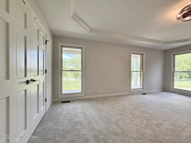5101 Elm Tree Pl, Louisville, KY 40299 - carpeted spare room with a raised ceiling and baseboards