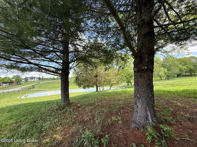 5101 Elm Tree Pl, Louisville, KY 40299 - view of green lawn featuring a water view