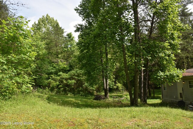 3015 S Chestnut Grove Rd, Columbia, KY 42728 - photo 11