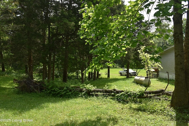 3015 S Chestnut Grove Rd, Columbia, KY 42728 - photo 17