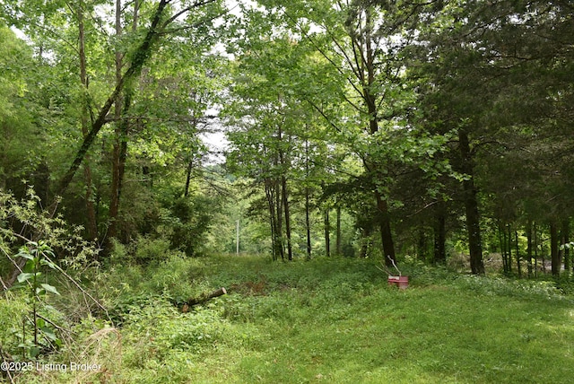 3015 S Chestnut Grove Rd, Columbia, KY 42728 - photo 18
