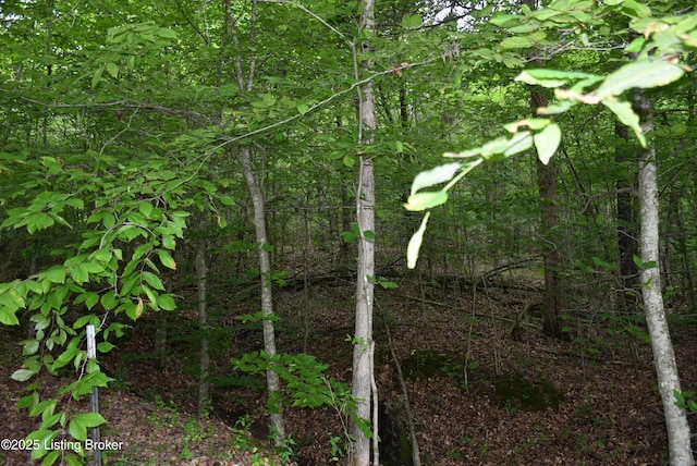 3015 S Chestnut Grove Rd, Columbia, KY 42728 - photo 21