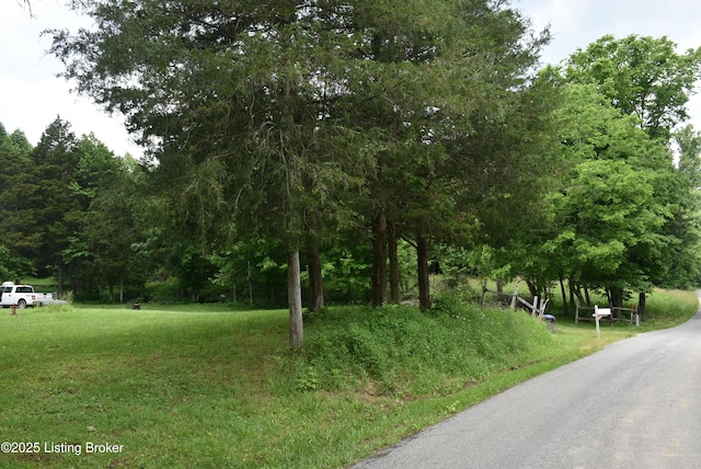 3015 S Chestnut Grove Rd, Columbia, KY 42728 - photo 26
