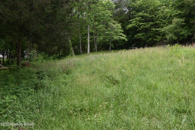 3015 S Chestnut Grove Rd, Columbia, KY 42728 - photo 30
