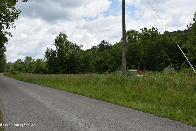 3015 S Chestnut Grove Rd, Columbia, KY 42728 - photo 31