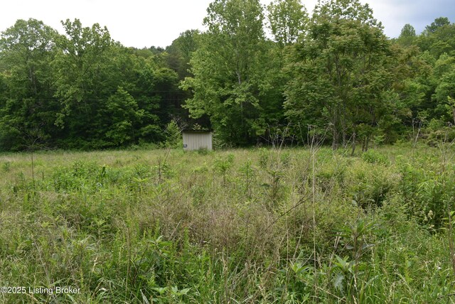 3015 S Chestnut Grove Rd, Columbia, KY 42728 - photo 33