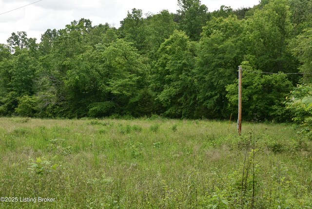 3015 S Chestnut Grove Rd, Columbia, KY 42728 - photo 34