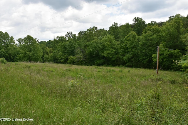 3015 S Chestnut Grove Rd, Columbia, KY 42728 - photo 35