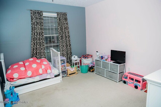 217 Fireside Dr, Brandenburg, KY 40108 - photo 11