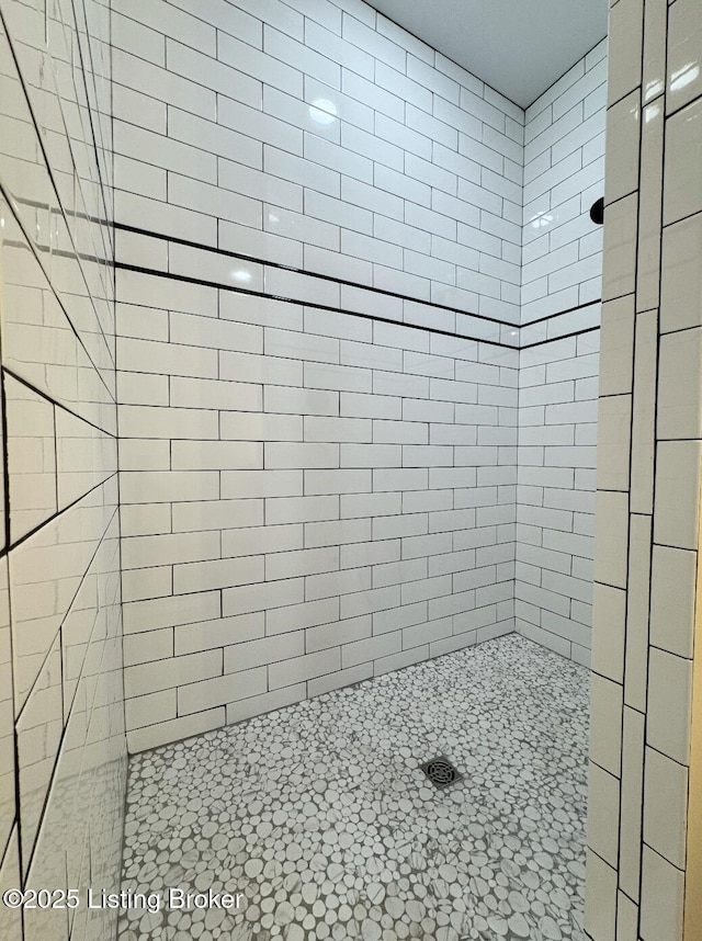 57 Malvern Ct, Brandenburg, KY 40108 - bathroom with a tile shower