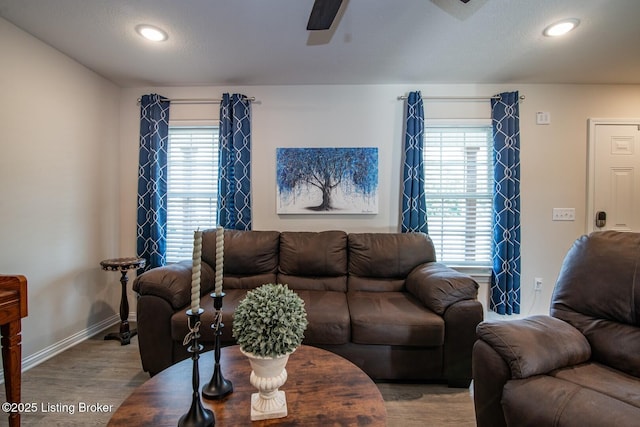 58 Sissy Ct, Elizabethtown, KY 42701 - living room featuring a ceiling fan, plenty of natural light, wood finished floors, baseboards, and recessed lighting