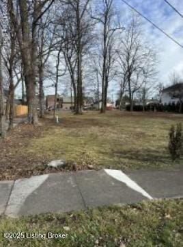 LOTS3-5 E John Fitch Ave, Bardstown, KY 40004 - photo 10