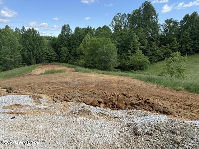 49 Roy Rd, Eastview, KY 42732 - view of undeveloped land