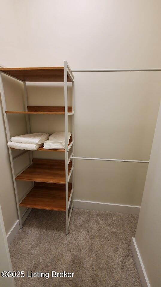 621 E Kentucky St, Louisville, KY 40203 - spacious closet featuring carpet