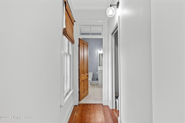 1801 Eastern Pkwy, Louisville, KY 40204 - photo 19