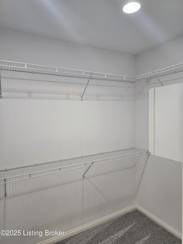 11307 Wind Haven Way, Louisville, KY 40291 - spacious closet with carpet