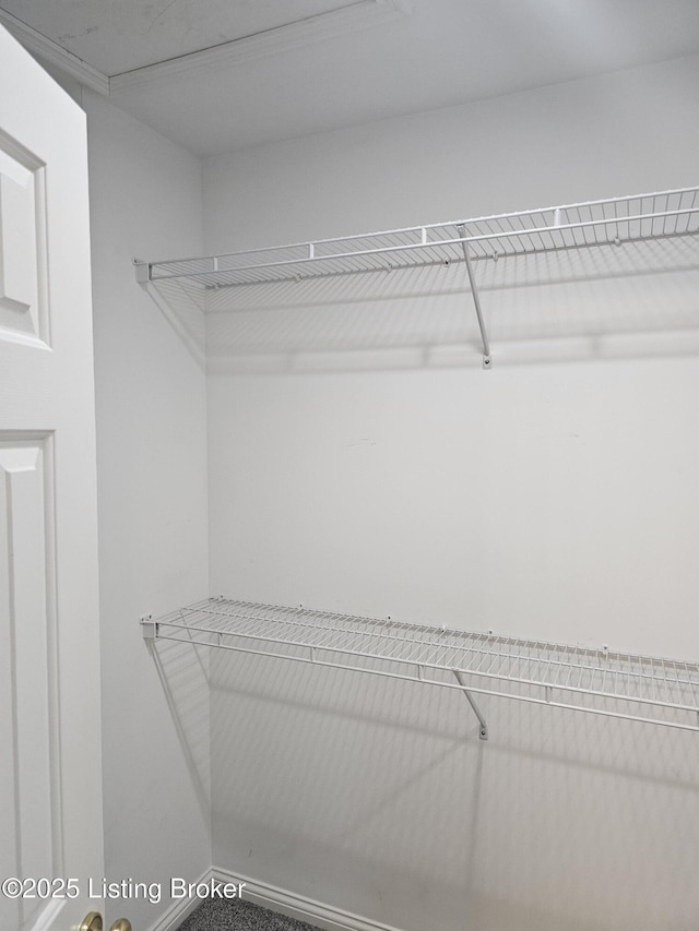 11307 Wind Haven Way, Louisville, KY 40291 - view of spacious closet