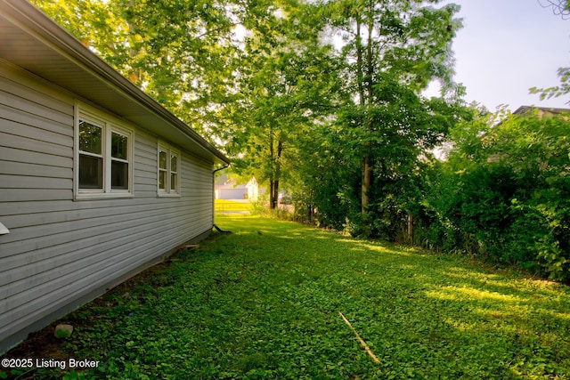 13500 Greystone Ave, Louisville, KY 40272 - view of green lawn
