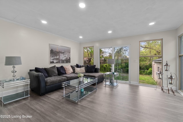 4328 Dohn Ave, Louisville, KY 40216 - living area featuring recessed lighting, wood finished floors, baseboards, and crown molding