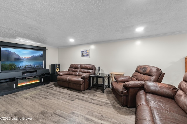 4328 Dohn Ave, Louisville, KY 40216 - living room featuring light wood finished floors, a textured ceiling, recessed lighting, and crown molding
