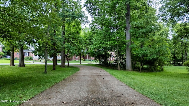 11805 Cedardale Rd, Anchorage, KY 40223 - view of street