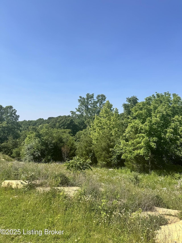 22 Meadowland Trl, Shepherdsville, KY 40165