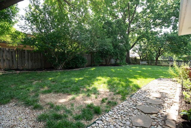 2401 Branning Rd, Thornhill, KY 40222 - view of yard