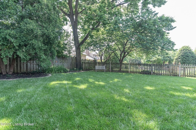 2401 Branning Rd, Thornhill, KY 40222 - view of yard