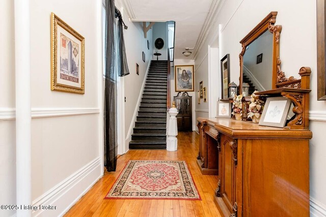 1023 S 3rd St, Louisville, KY 40203 - photo 6