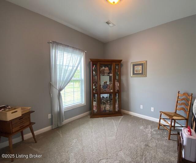 1013 Mallards Cv, Bardstown, KY 40004 - sitting room featuring carpet floors and baseboards